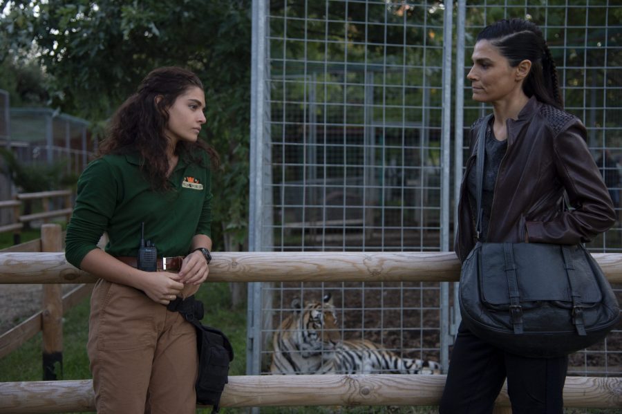 “The Cage – Nella Gabbia”: al via le riprese dello sport-action movie